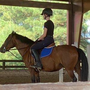 Meet your Posher, Zoey